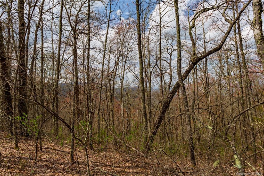 27 Black Rock Road, Unit 27 Cherokee, NC 28719 - Photo 3 of 21 Gallery Image 3