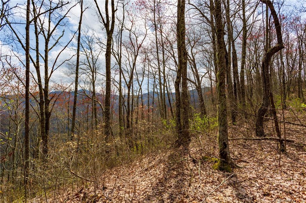 27 Black Rock Road, Unit 27 Cherokee, NC 28719 - Photo 4 of 21 Gallery Image 4