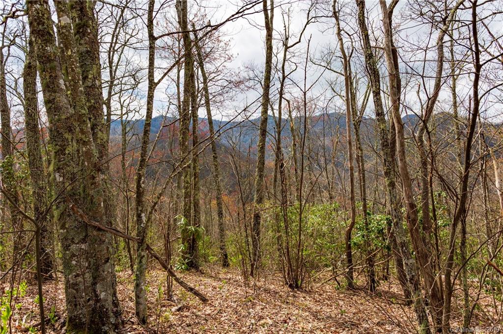27 Black Rock Road, Unit 27 Cherokee, NC 28719 - Photo 10 of 21 Gallery Image 10