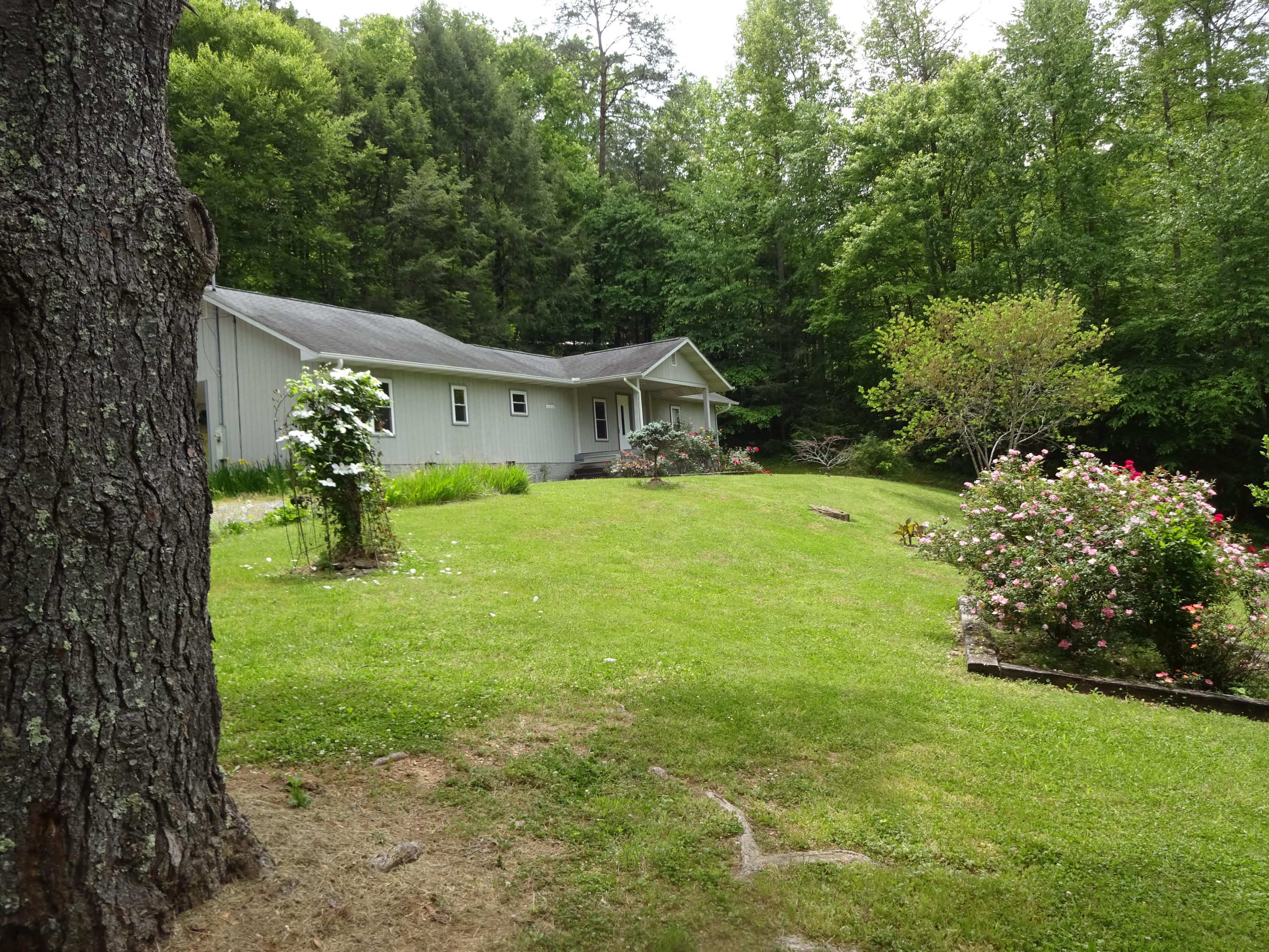 5718 Henry Town Road Sevierville, TN 37876 - Photo 2 of 30 DSC05888
