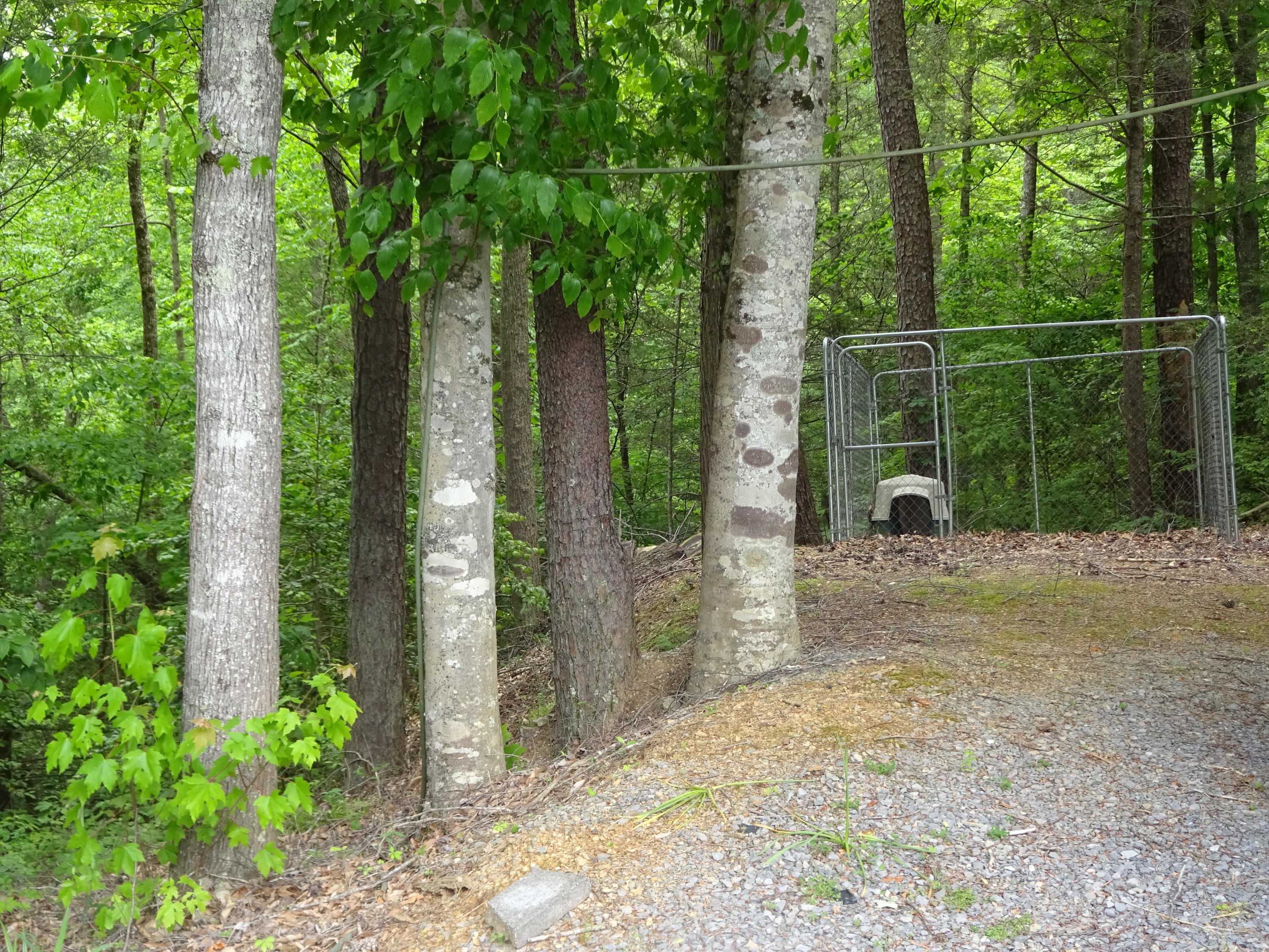5718 Henry Town Road Sevierville, TN 37876 - Photo 21 of 30 DSC05887