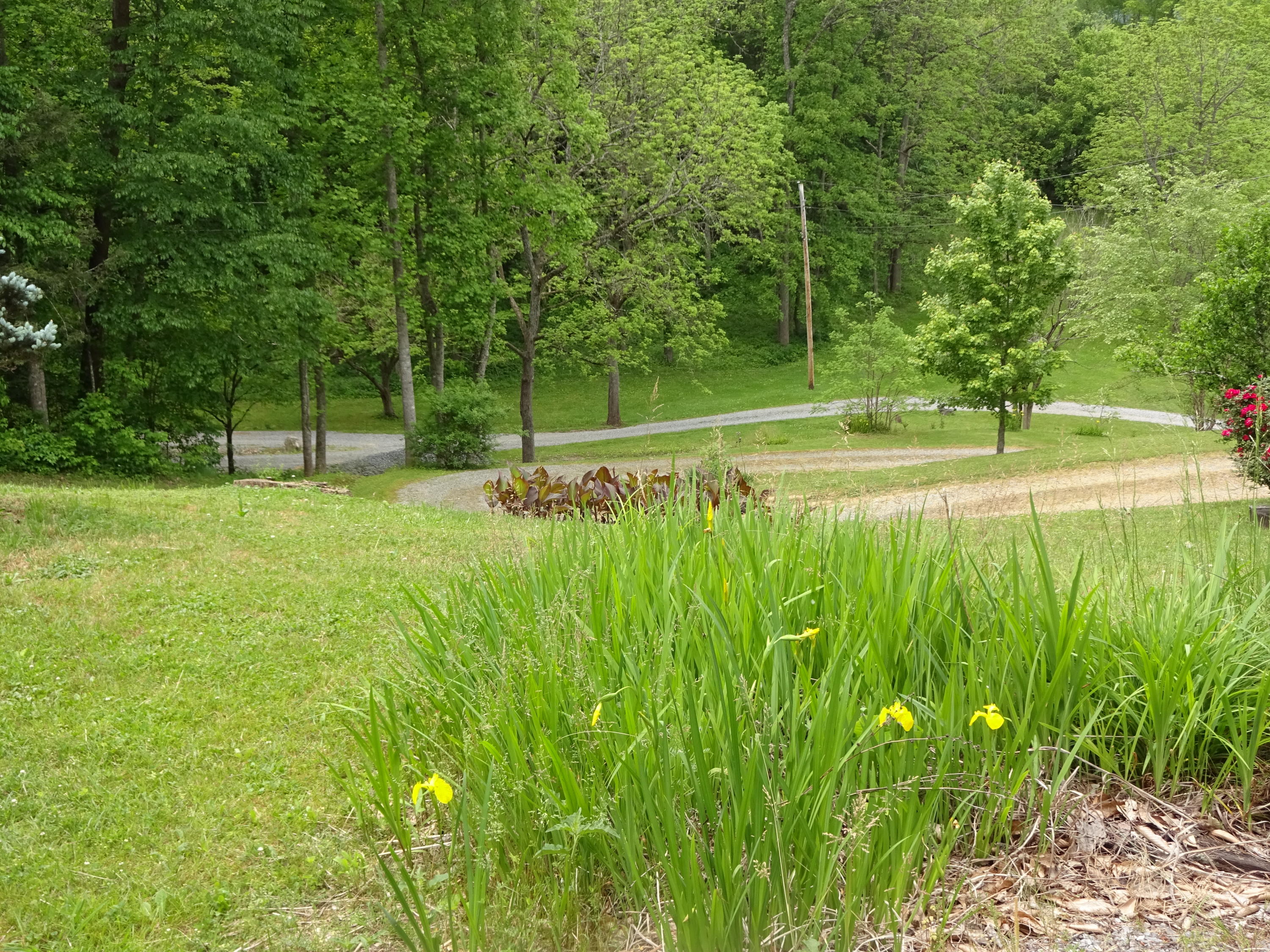 5718 Henry Town Road Sevierville, TN 37876 - Photo 22 of 30 DSC05886