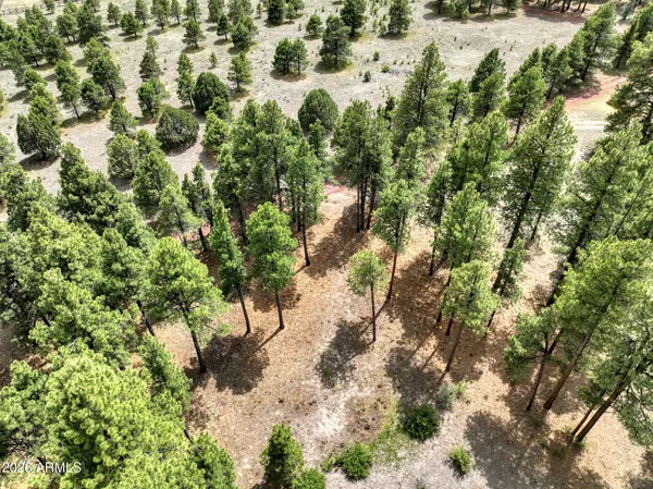$155,000 | 12847 East Dream Acres Lane, Parks, AZ 86018