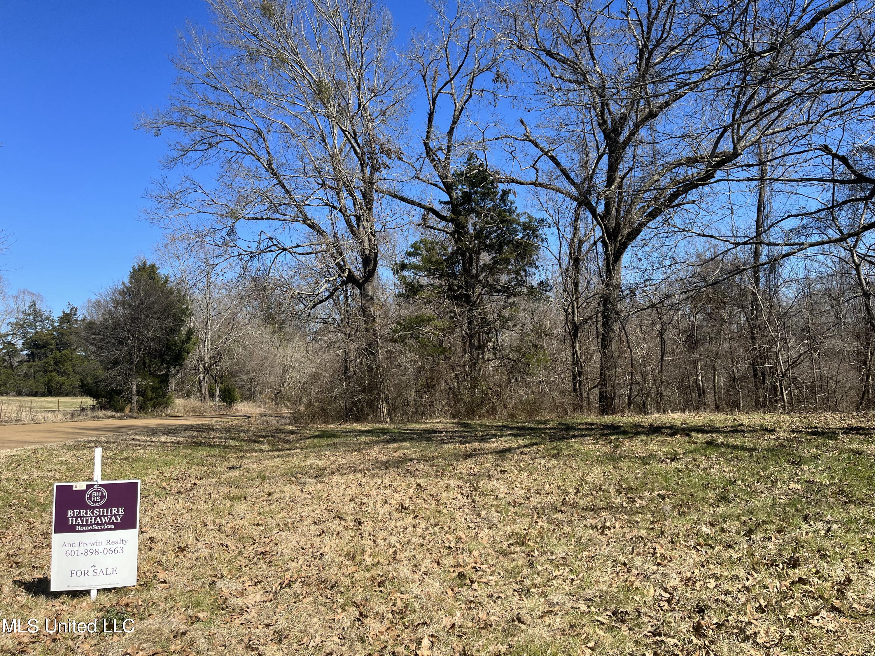 Phoenix Bentonia, MS 39040 - Photo 1 of 2 +