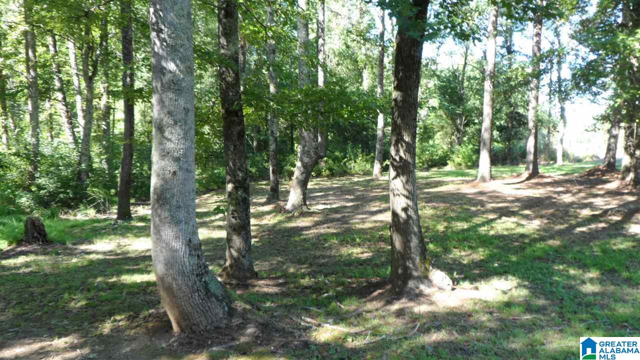 3096 New Liberty Road Wellington, AL 36279 - Photo 21 of 21