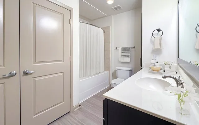 $1,371 | 306 McGowen Street, Unit 1112, Houston, TX 77006