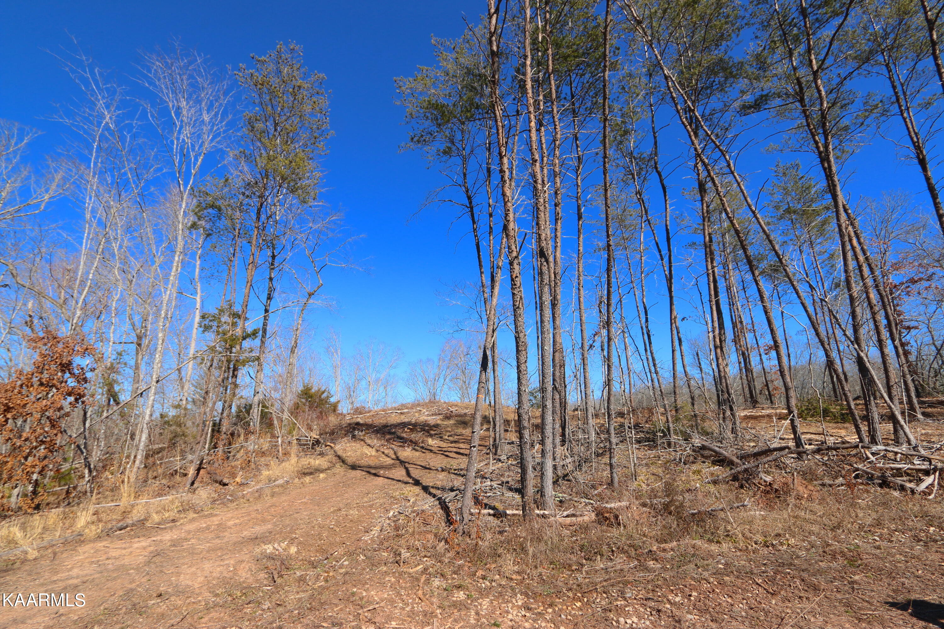 5 Bill Moser Road Vonore, TN 37885 - Photo 12 of 22 IMG_0153