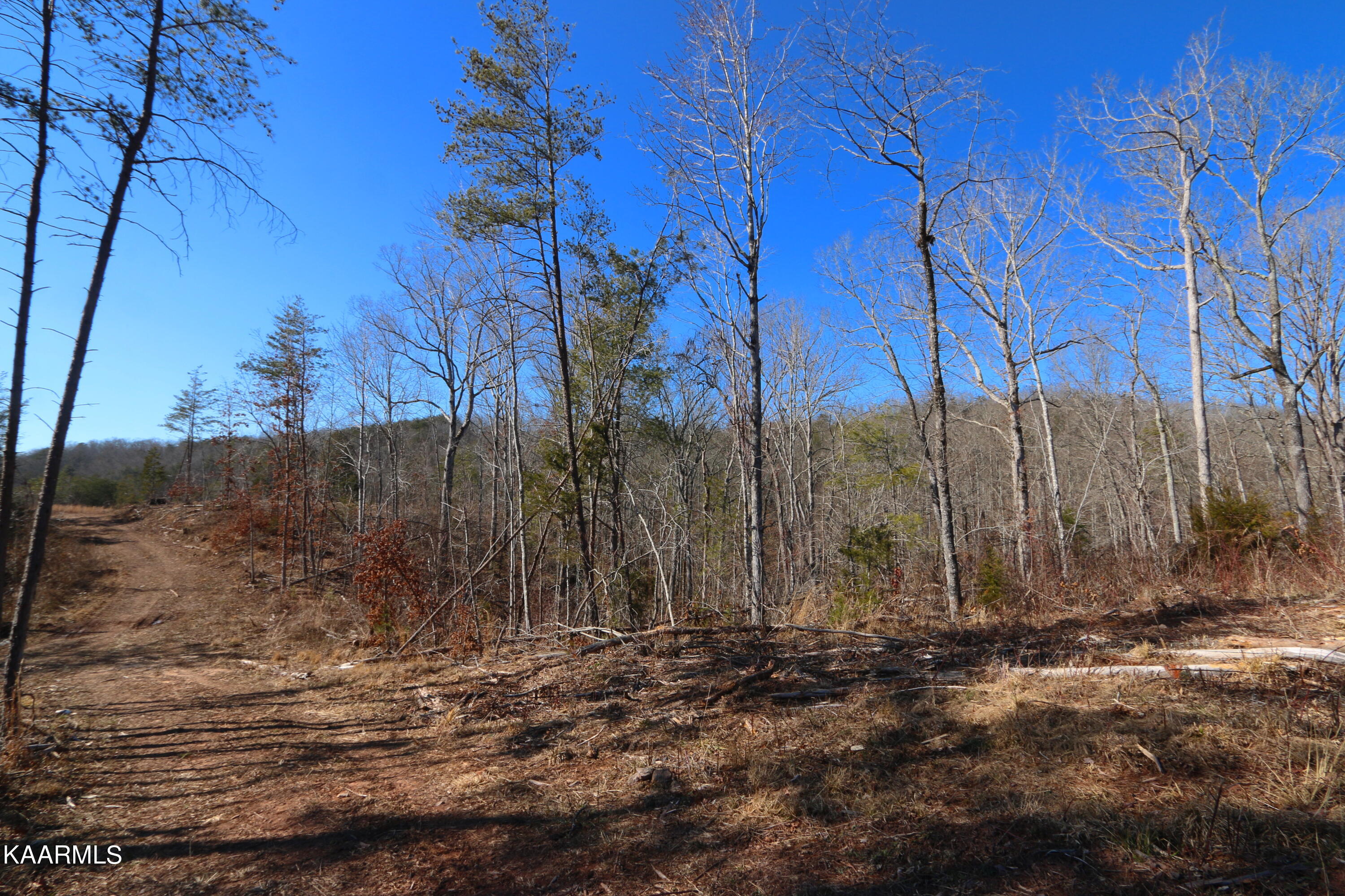 5 Bill Moser Road Vonore, TN 37885 - Photo 5 of 22 IMG_0157