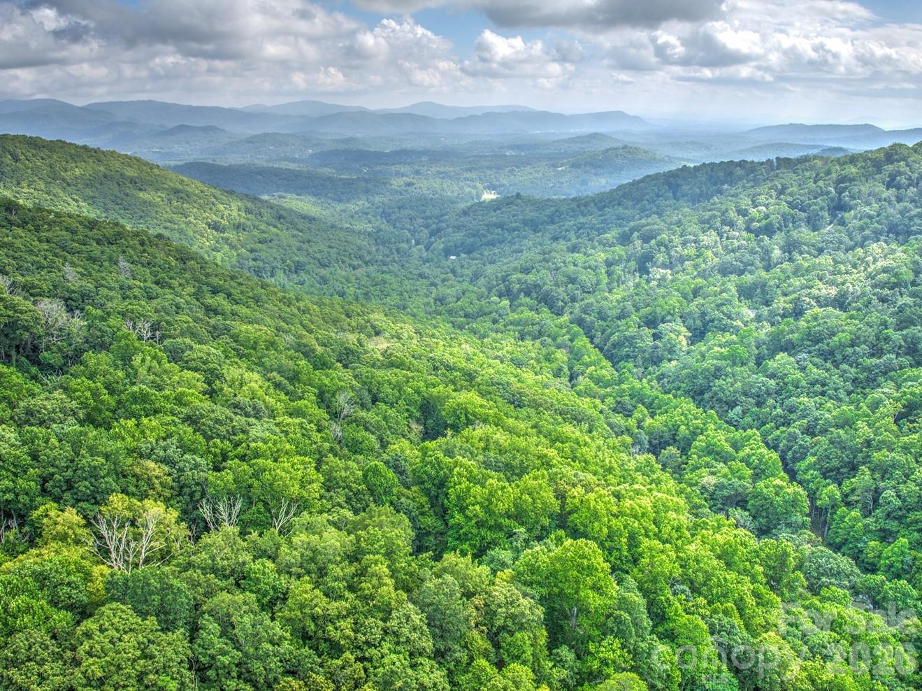 30 Red Oak Forest Road Fairview, NC 28730 - Photo 3 of 48