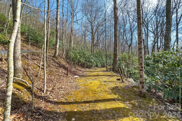 $540,000 | 30 Red Oak Forest Road, Fairview, NC 28730