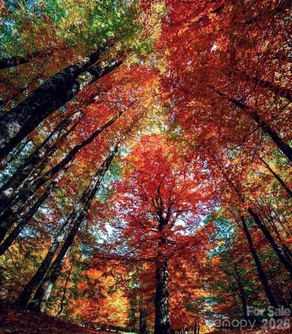 $540,000 | 30 Red Oak Forest Road, Fairview, NC 28730