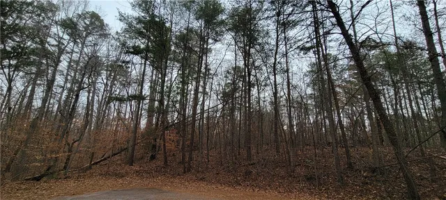 $13,000 | 311 Sugarbush Court, Westminster, SC 29693