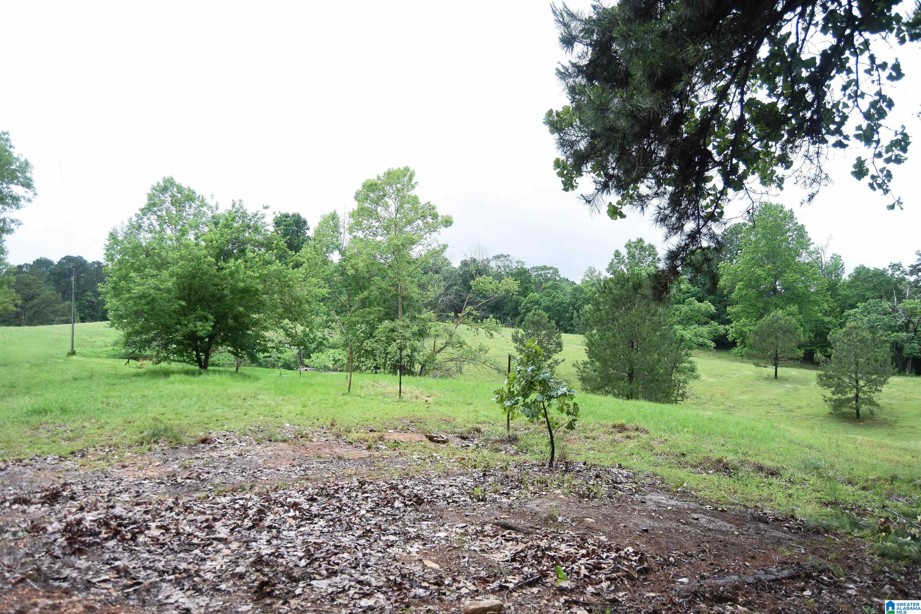 2488 Louina Road Roanoke, AL 36274 - Photo 67 of 97