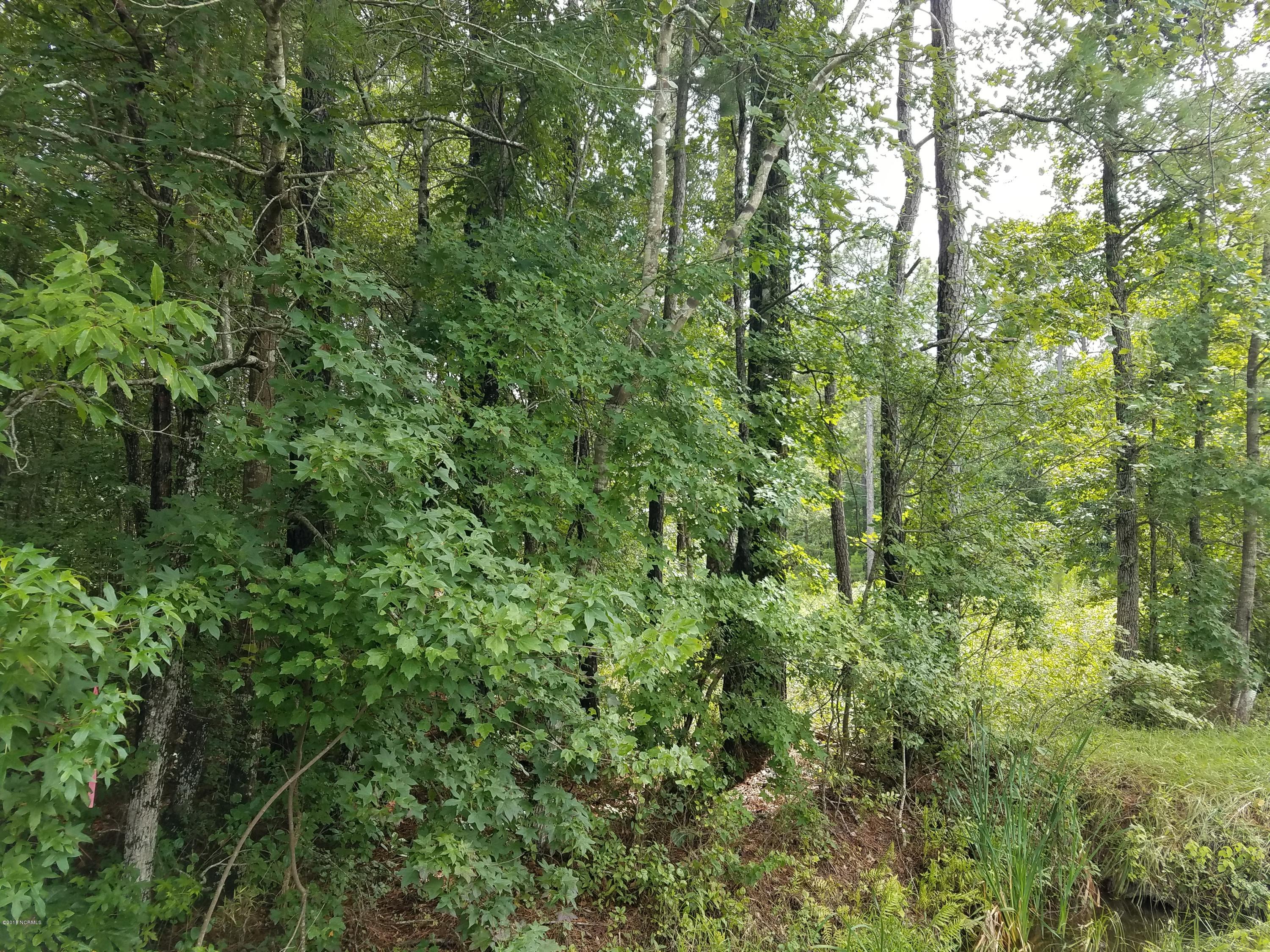 653 Caison Loop Road Southeast Winnabow, NC 28479 - Photo 3 of 6 20180727_154050