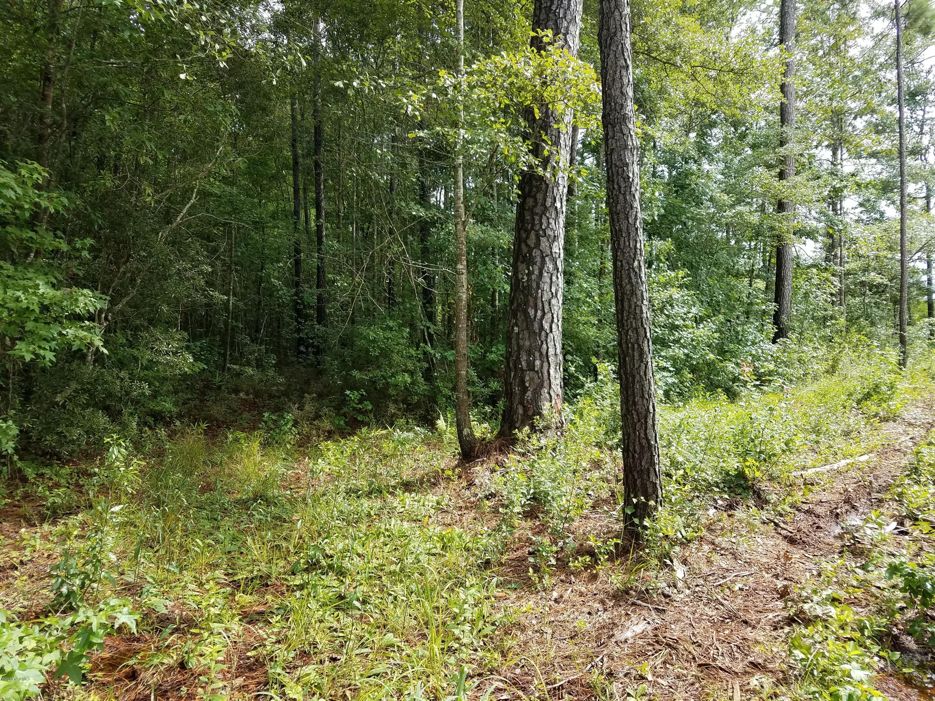 653 Caison Loop Road Southeast Winnabow, NC 28479 - Photo 4 of 6 20180727_154129