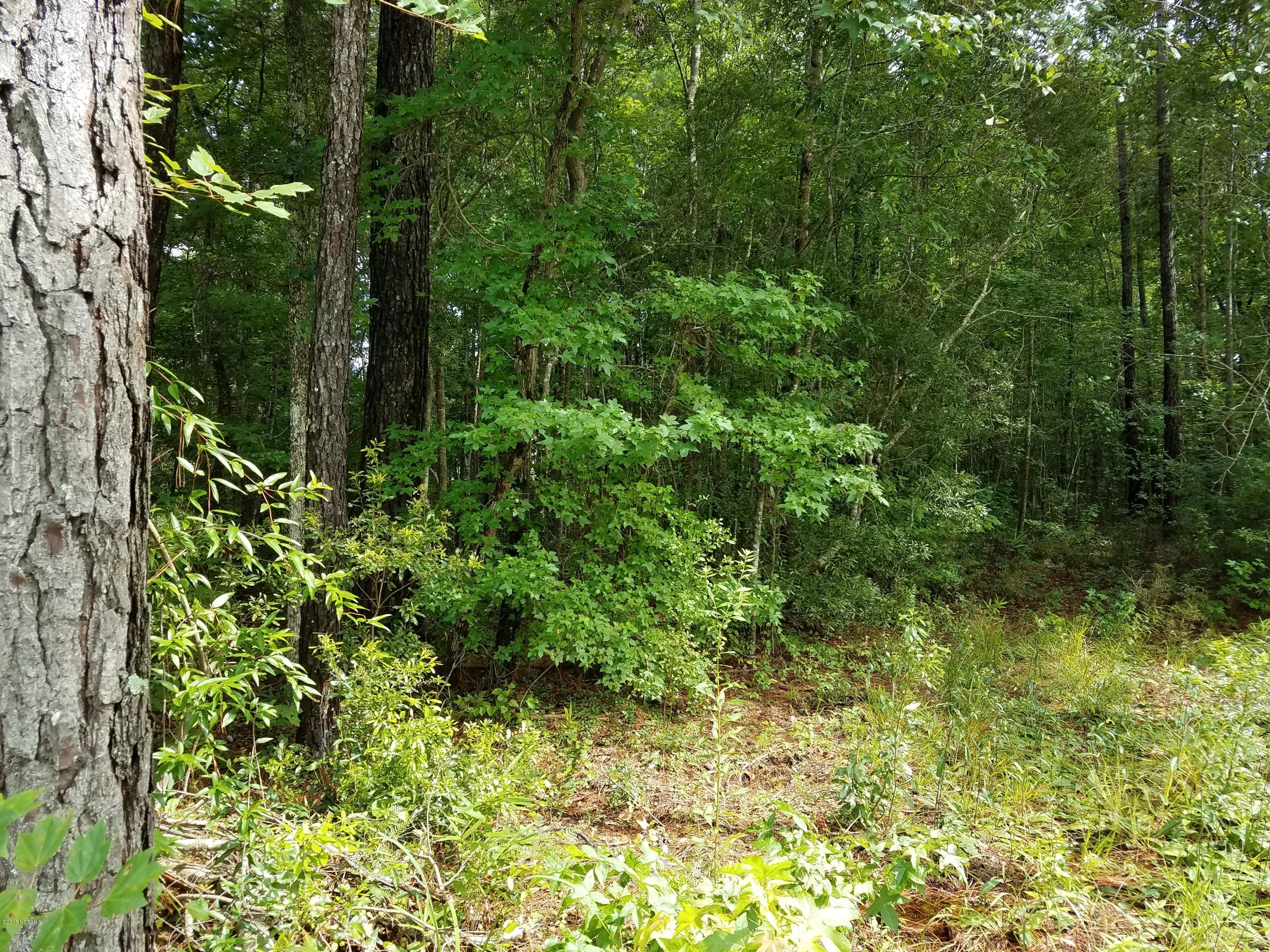 653 Caison Loop Road Southeast Winnabow, NC 28479 - Photo 5 of 6 20180727_154139