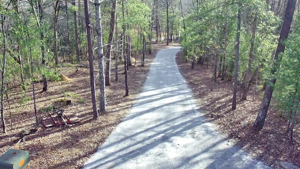 3331 Gumlog Road Young Harris, GA 30582 - Photo 12 of 39 a view of a yard with plants and trees