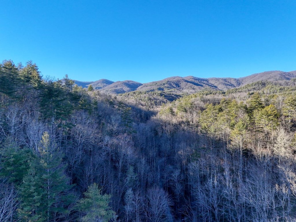 6.83-ac Webb Creek Road Andrews, NC 28901 - Photo 17 of 18