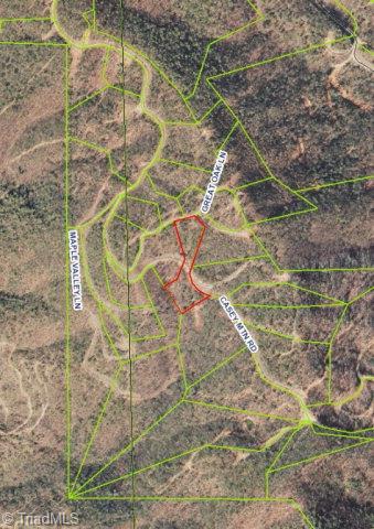 200 Casey Mountain Road Purlear, NC 28665 - Photo 1 of 1 Main View