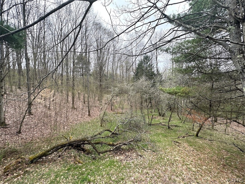 324 Main Wirt, NY 14774 - Photo 23 of 41