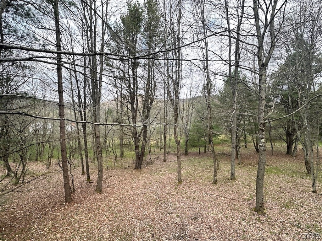 324 Main Wirt, NY 14774 - Photo 24 of 41