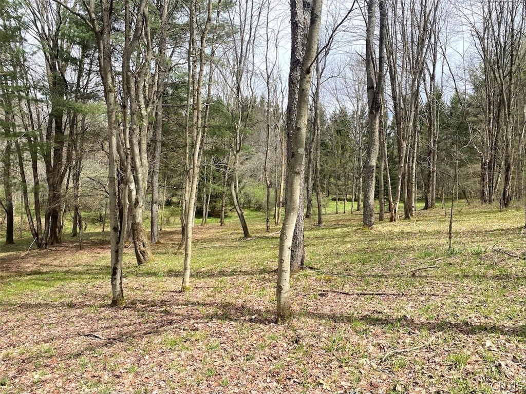 324 Main Wirt, NY 14774 - Photo 28 of 41