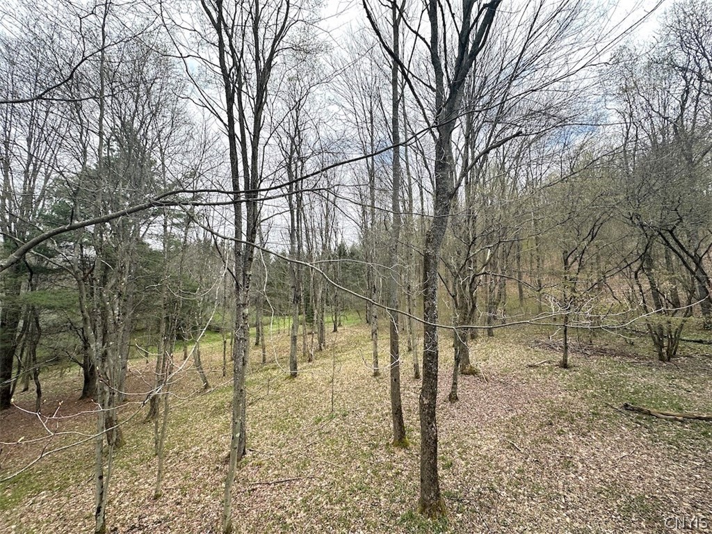 324 Main Wirt, NY 14774 - Photo 29 of 41