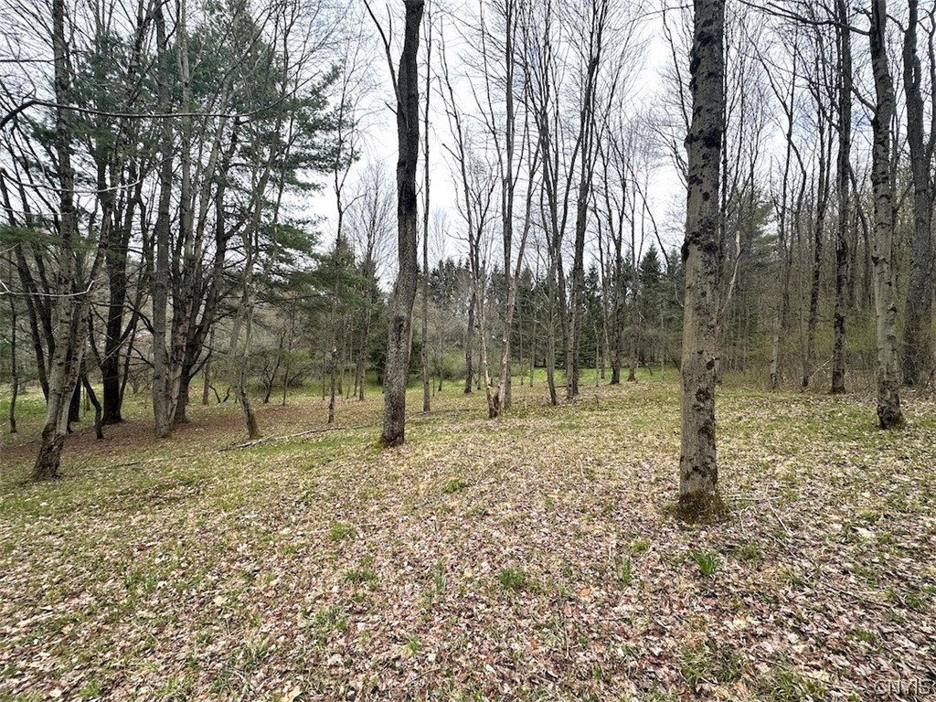 324 Main Wirt, NY 14774 - Photo 30 of 41