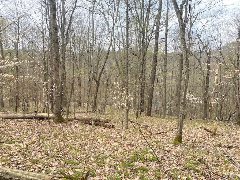 324 Main Wirt, NY 14774 - Photo 35 of 41