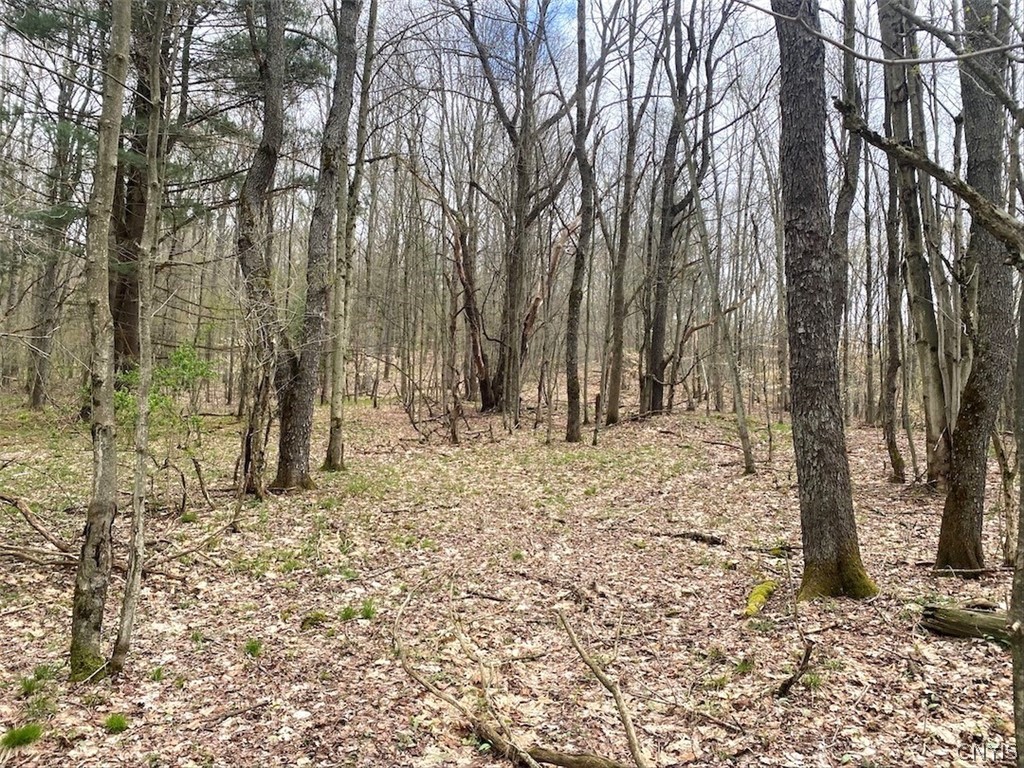 324 Main Wirt, NY 14774 - Photo 39 of 41