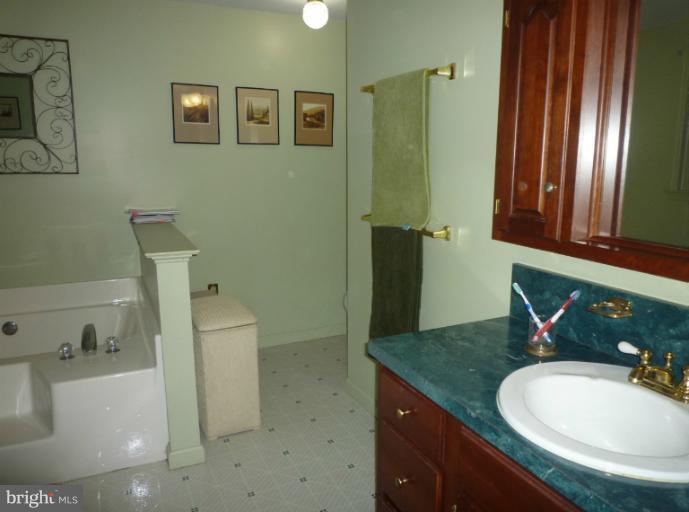 10009 Kelly Road Frederick, MD 21701 - Photo 5 of 29 Bath (Master)