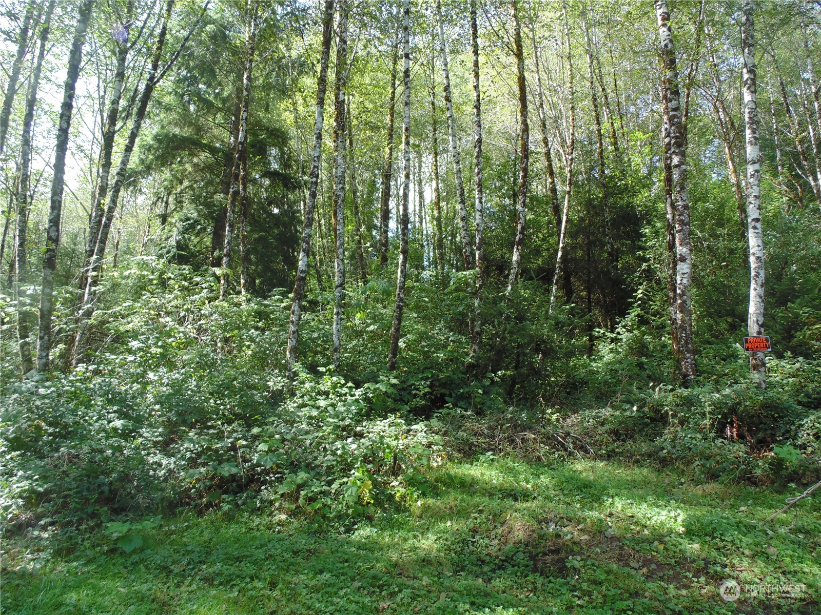 0 Panhandle Road Hoquiam, WA 98550 - Photo 3 of 4 Gallery Image 3