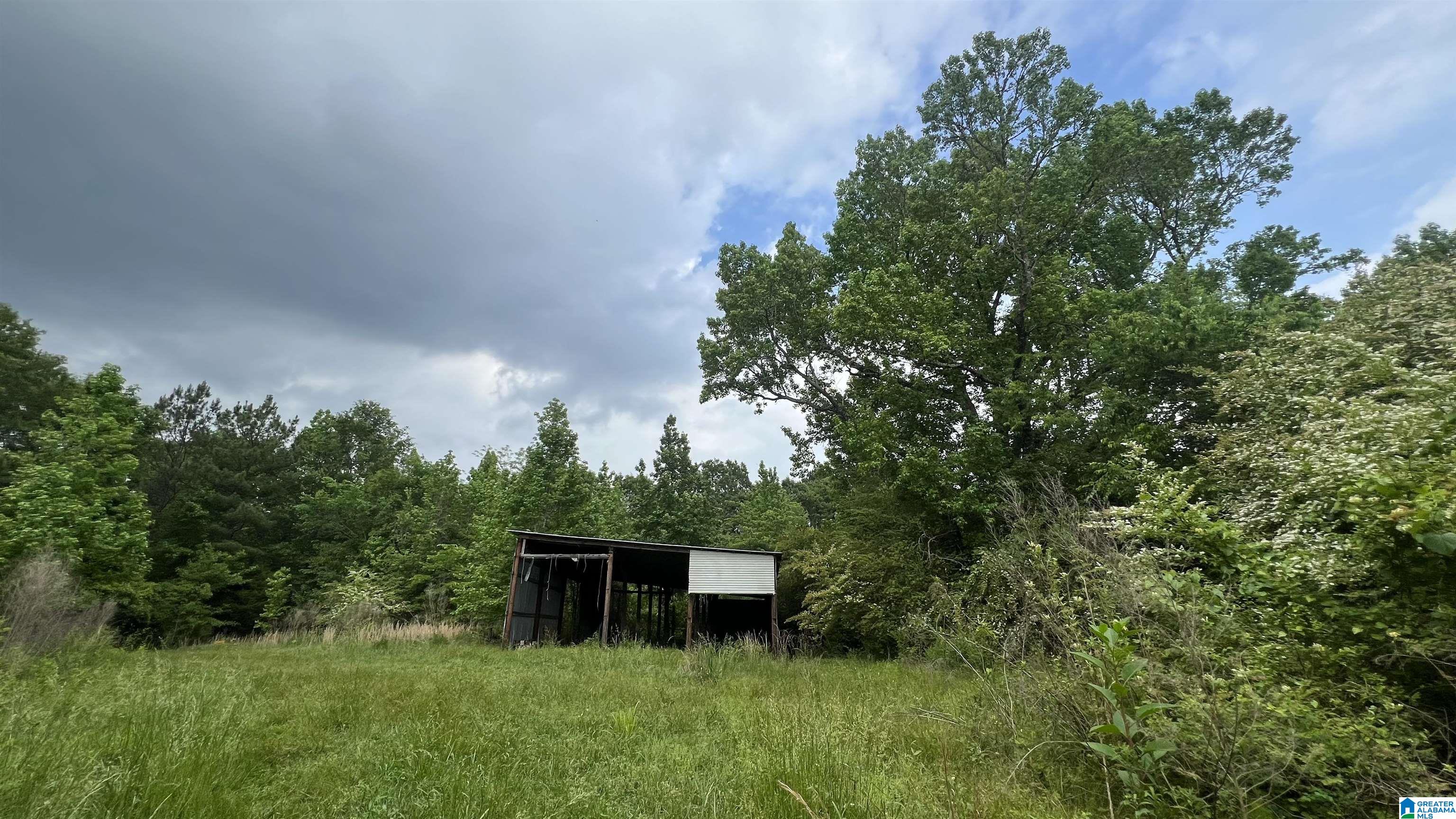 Lot 8 Woods Bend Road, Unit LOT 8 Ragland, AL 35131 - Photo 11 of 28
