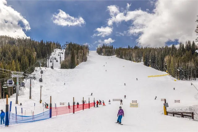 $1,449,000 | 628 Montezuma Road, Unit D2, Keystone, CO 80435