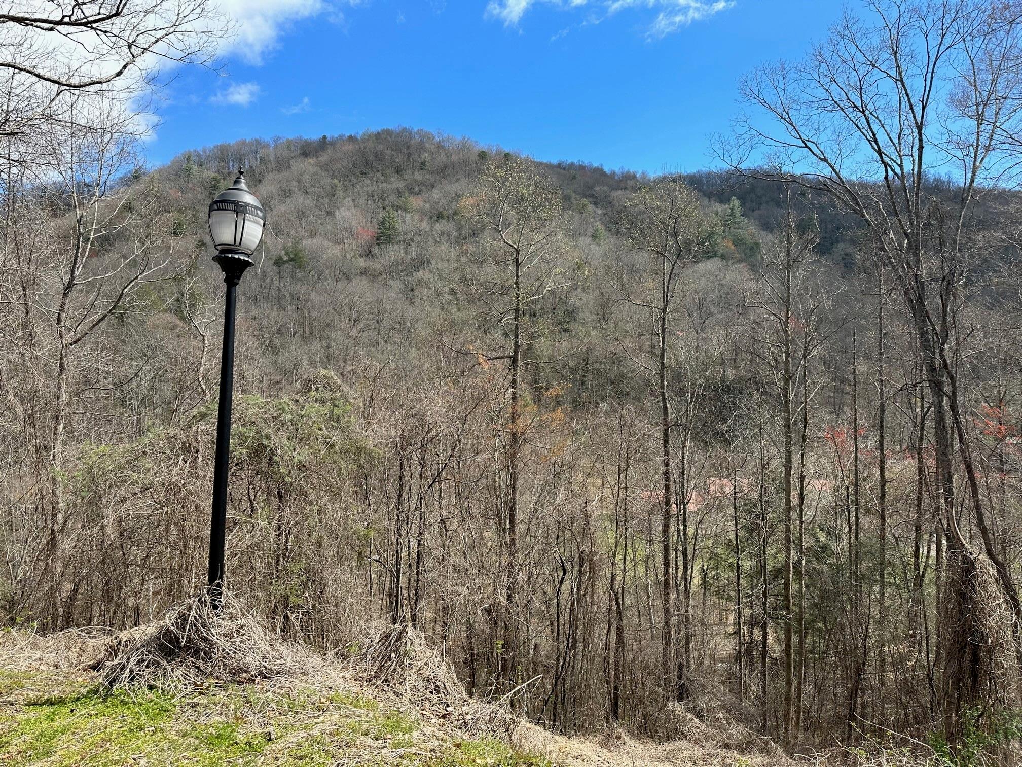 0 Tuckaway Ridge Drive Hendersonville, NC 28792 - Photo 3 of 5 a view of a dry yard with trees