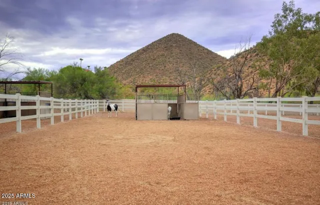 a front view of a house with a yard and porch