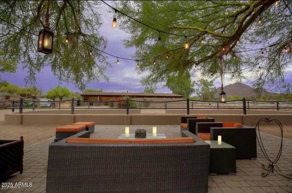 a view of a backyard with potted plants and a large tree