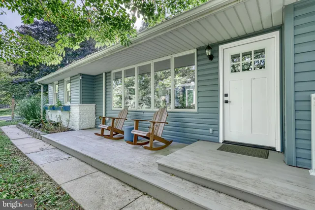 a view of a park with large trees
