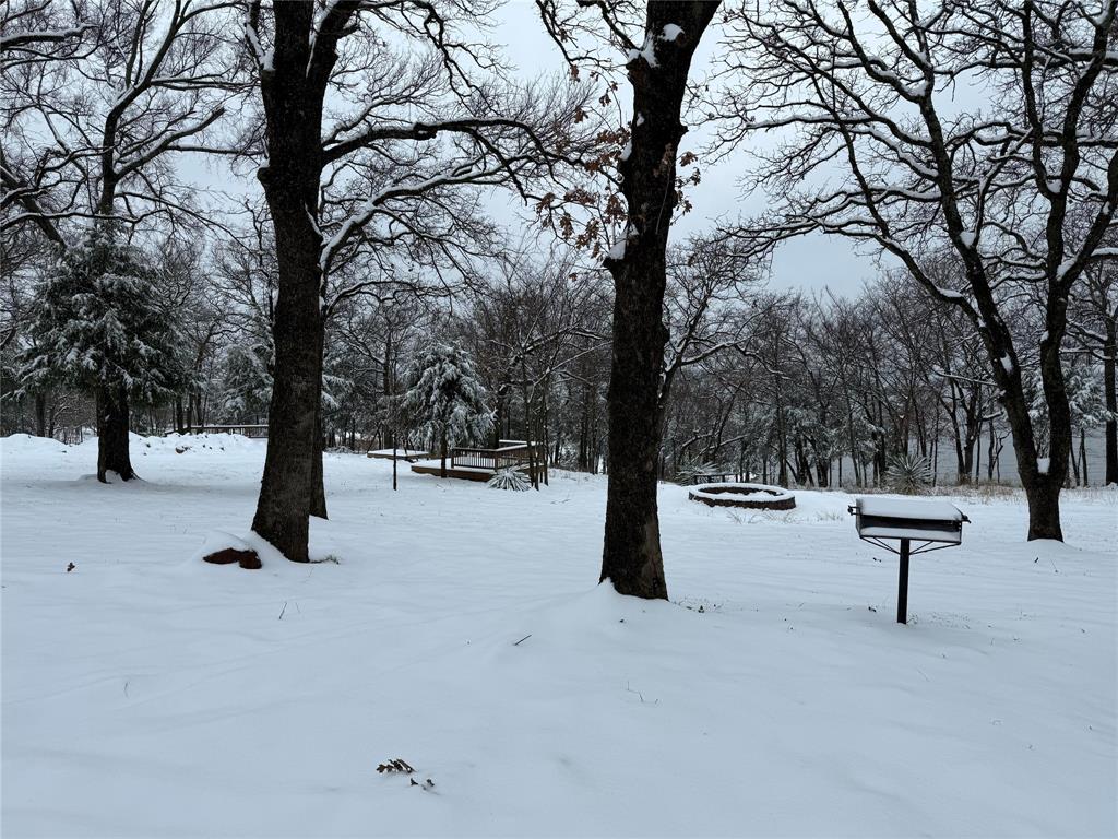 23507 Alexander Road Pilot Point, TX 76258 - Photo 23 of 26 Photo of property from last Winter.