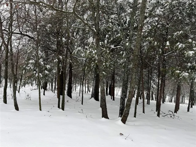 a view of open space with a trees