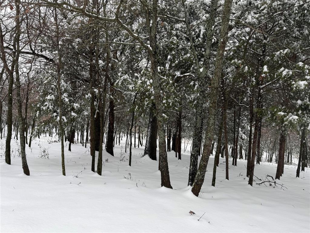 23507 Alexander Road Pilot Point, TX 76258 - Photo 24 of 26 Photo of property from last Winter.