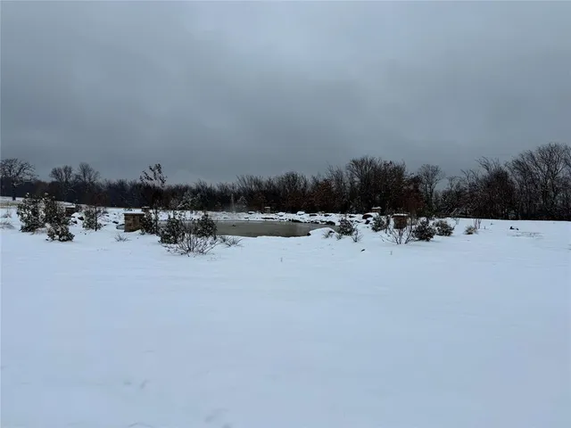 a street view with large trees
