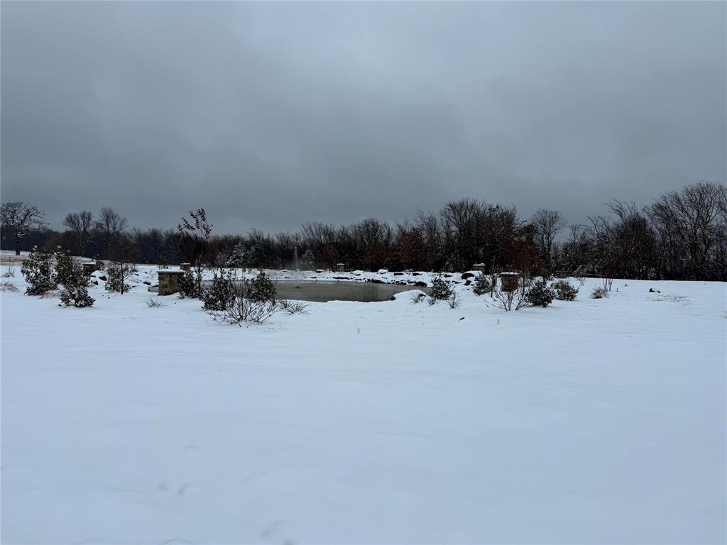23507 Alexander Road Pilot Point, TX 76258 - Photo 25 of 26 Photo of property from last Winter.