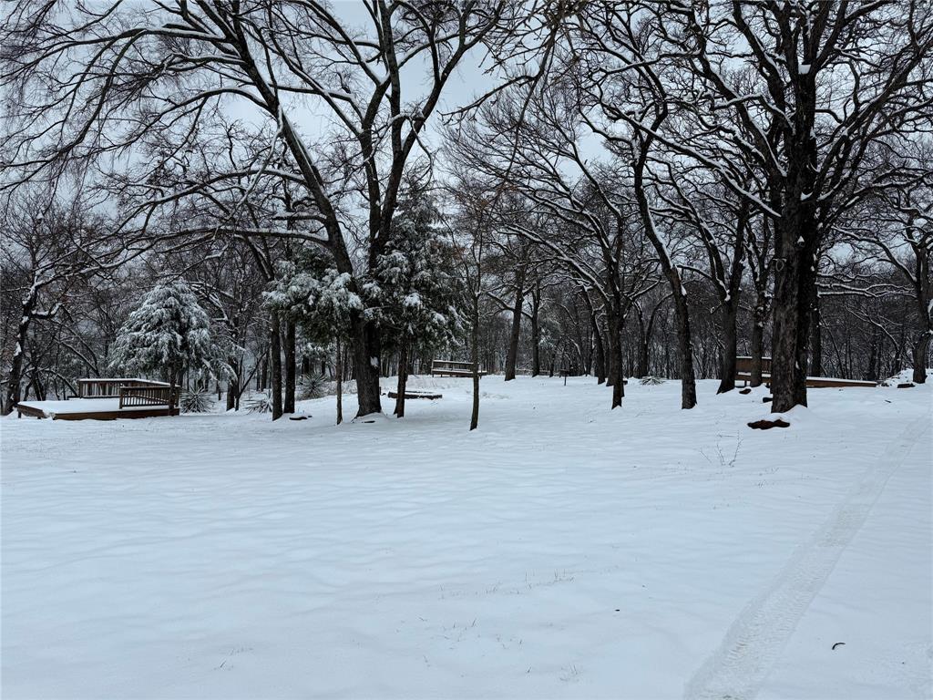 23507 Alexander Road Pilot Point, TX 76258 - Photo 26 of 26 Photo of property from last Winter.