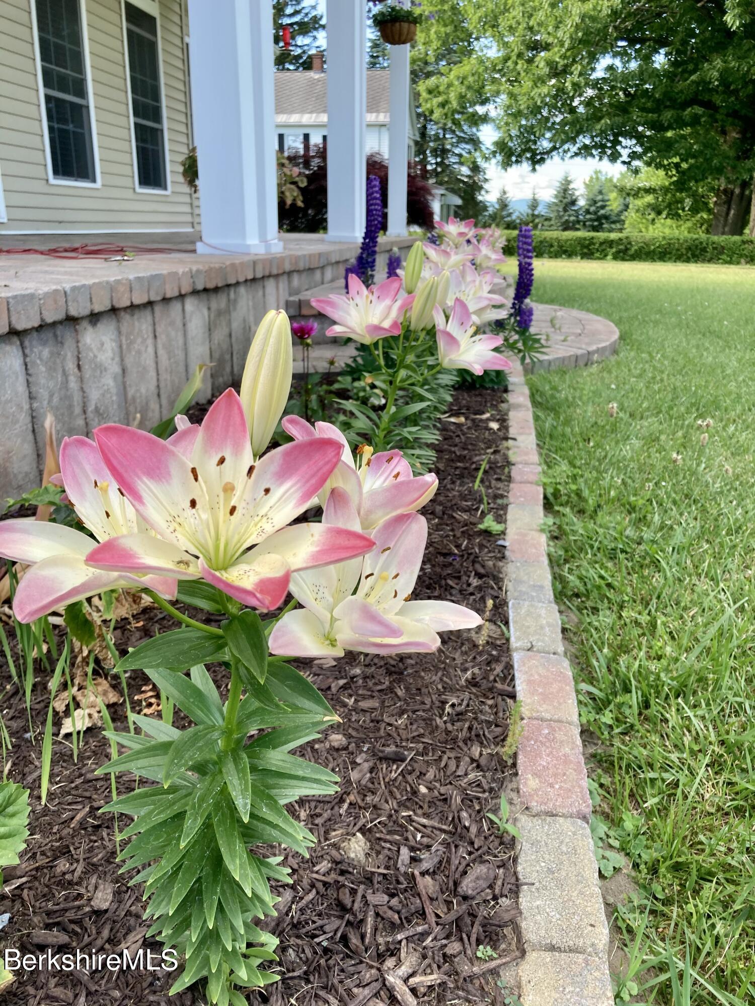 144 East Road Adams, MA 01220 - Photo 66 of 72 Flowers front
