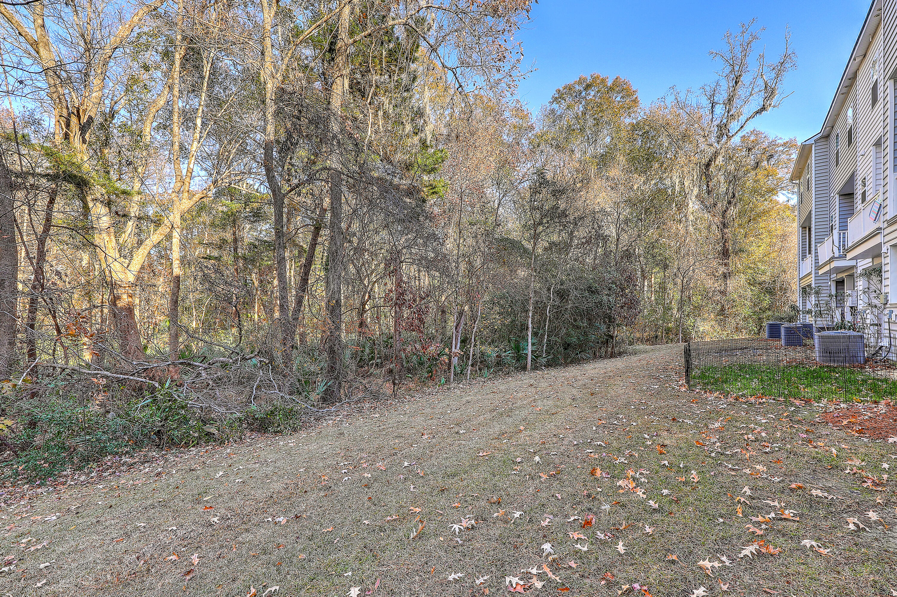 316 Spindlewood Way Charleston, SC 29414 - Photo 34 of 36 0W7A4880_1_2_3_4_5_6
