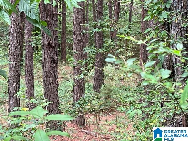0 County Road 92, Unit X Graham, AL 36263 - Photo 10 of 13