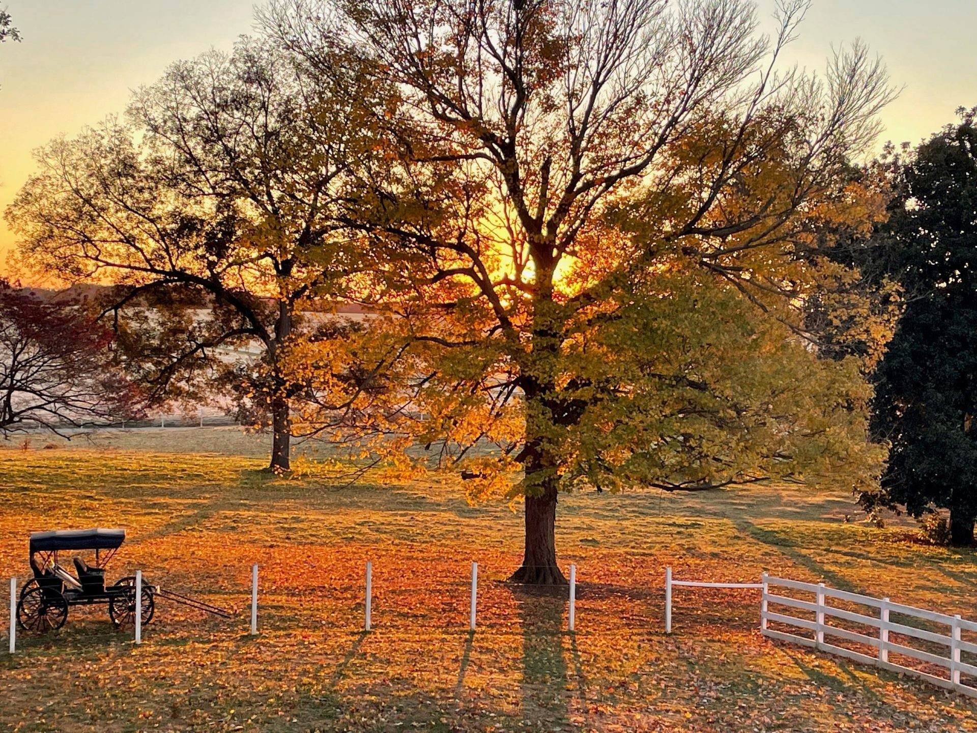 2130 Fairground Road Guthrie, KY 42234 - Photo 40 of 44 a view of a yard with an outdoor space