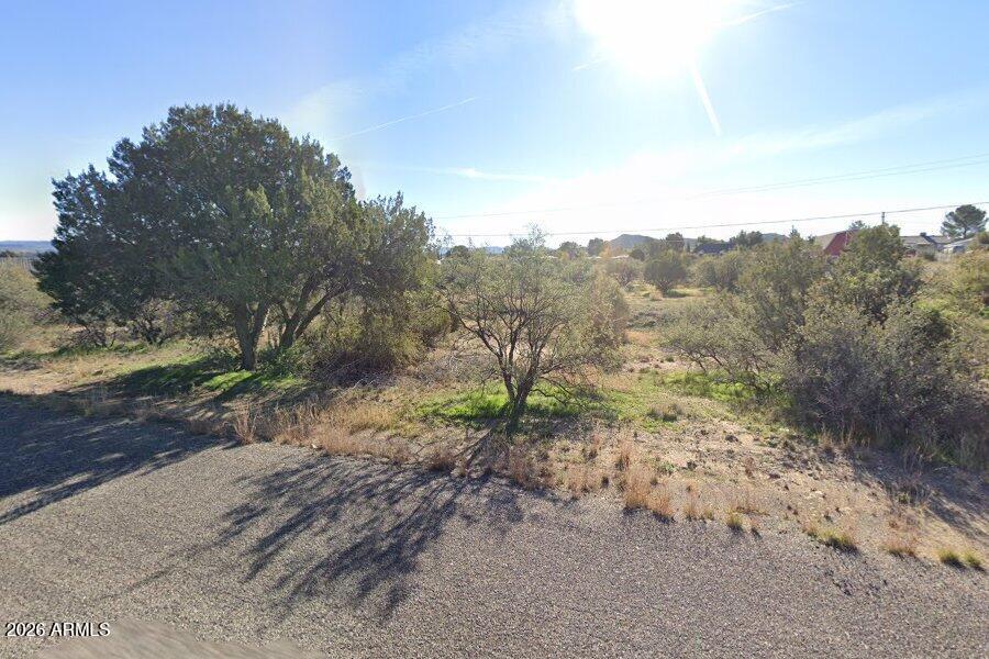 20651 East Mesa Verde Road, Unit 236 Mayer, AZ 86333 - Photo 1 of 1 a view of a dry yard with trees