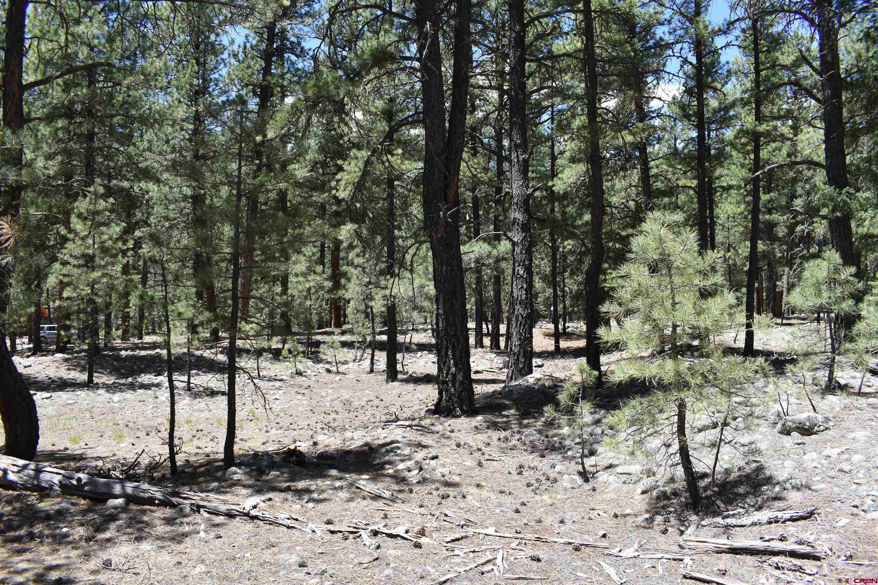 80 Ranch Road Bayfield, CO 81122 - Photo 14 of 20